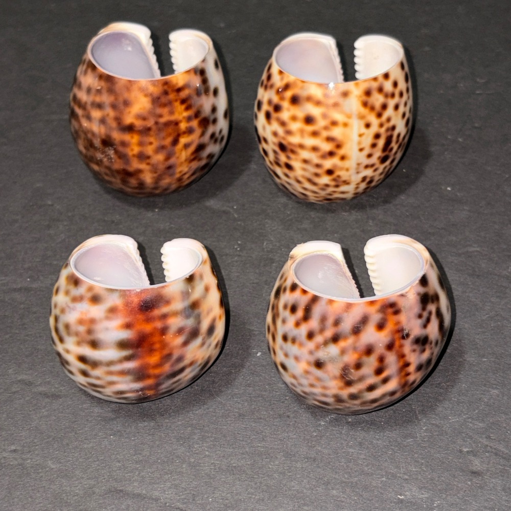 Vintage Natural Tiger Cowrie Shell Napkin Rings Set of 4 Brown Spotted Coastal